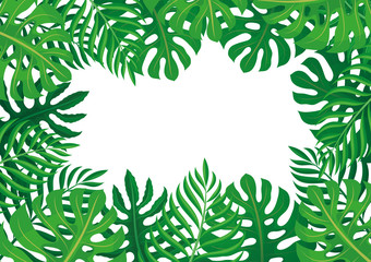 Frame of tropical leaves on a white background.