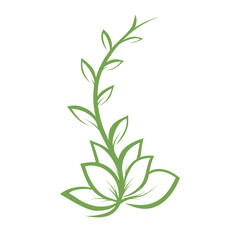 branch with leaves, design element, simple vector element.