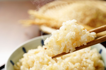 玄米ご飯