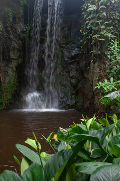 Waterfall in jungle © A