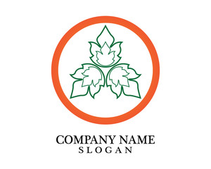 Logos of green leaf ecology nature element vector