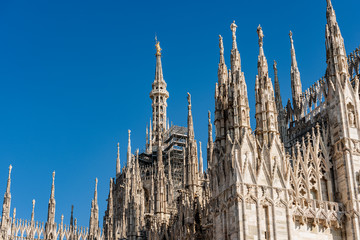 Fototapeta premium Duomo di Milano - Milan Cathedral - Lombardy Italy