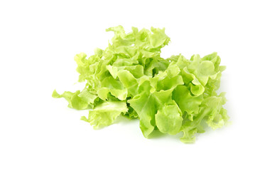 Green oak leaf vegetable cut  Healthy Food for salad isolated on white background