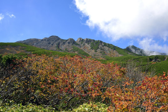 Mt. Ontake, Nagano, Japan - Autumn leaves