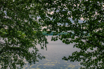 View of the lake through the foliage of the trees. Beautiful natural background.