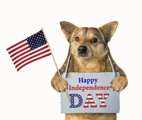 The dog patriot with a sign around its neck (Happy Independence Day) holds an american flag. White background. Isolated.