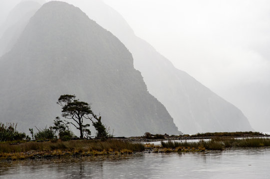 Magnificent Scene Of Amazing Misty Mountain Glacier Landscape Its Reflection At Milford Sound, South Island New Zealand On The Rainy Morning Day.