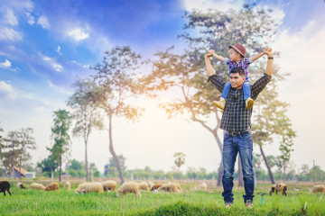 Father and son standing back together and open arms looking at sheep grazing on farm with sunset background