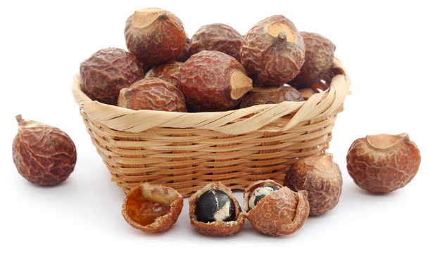 Sapindus mukorossi or Indian soapberry