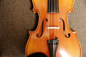 violin