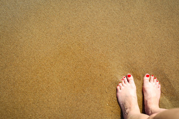 Summer time on beach and free space for your decoration 