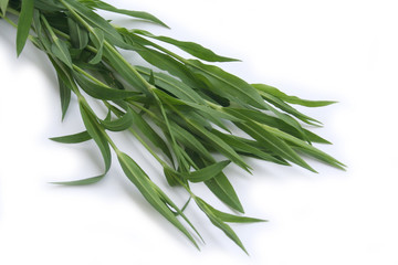 Fototapeta premium Bunch of Bladder campion plants isolated on white background. Silene vulgaris plant on white