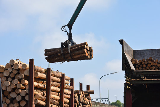 scierie bois industrie scier grappin