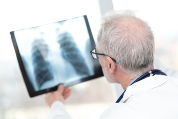 Fototapeta premium Senior doctor looking at x-ray