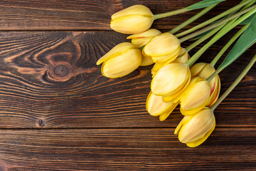 Yellow tulips on dark wooden background.