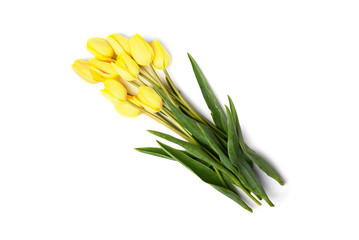 Yellow tulips isolated on white background.