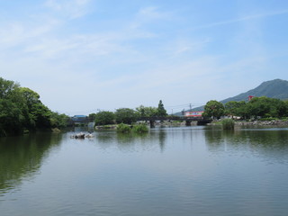 Fototapeta na wymiar Park Pond Japan