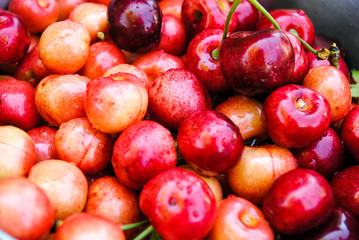 A handful of ripe juicy sweet berries