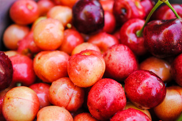 Ripe juicy sweet cherries close-up in a bowl