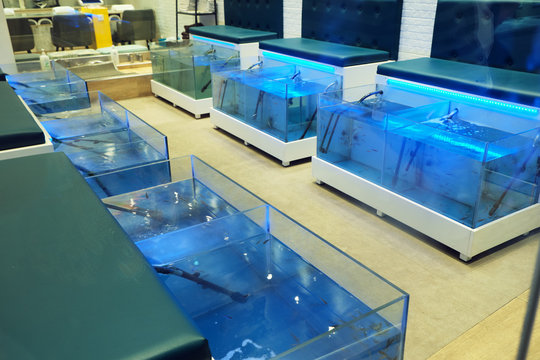View of A fish therapy tank for both feet - Ichthyotherapy is the use of fish for cleaning skin wounds or treating other skin conditions.