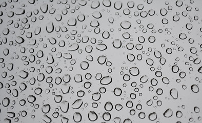 Drops of rain on glass