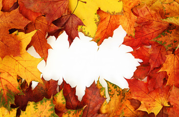 Frame with autumn colorful leaves on white background. Top view. Flat lay.