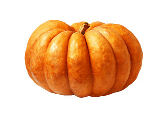Large orange pumpkin