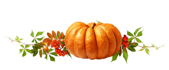 Large orange pumpkin