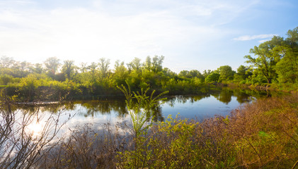 beautiful quiet summer river scene at the sunset