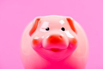 Financial education. Finances and investments bank. Better way to bank. Piggy bank symbol of money savings. Piggy bank adorable pink pig close up. Accounting personal accountant and family budget