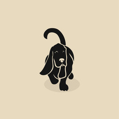 Basset hound dog - isolated vector illustration - Vector