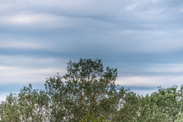 Cloudscape of Overcast Sky with Layers of Clouds in Blues and Grays