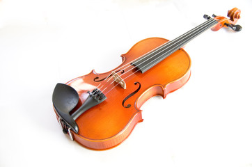 Naklejka na ściany i meble violin on white background