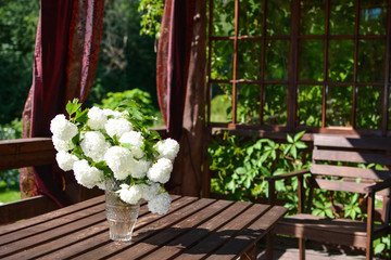Sightly white flowers of viburnum in a glass vase