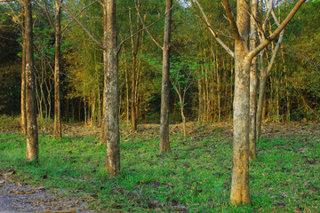 pb valley khao yai winery
