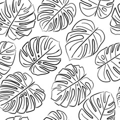 Seamless monstera pattern. Monstera background. Hand drawn pattern. Monstera leaves. Jungle pattern. Summer. Jungle