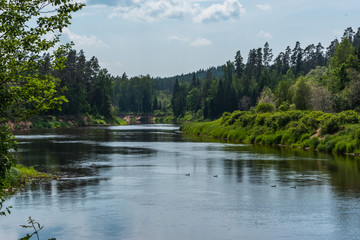 Fototapeta na wymiar River in Latvia on a Summer Day