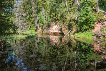 Obraz premium River in Latvia on a Summer Day