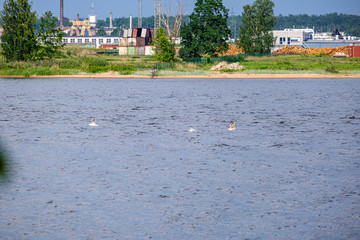 cargo shipping terminals in Riga, Latvia with high wind and dust flying over