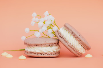 White flowers near the macaroons on coral background