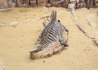 Fototapeta na wymiar Replica dinosaur fossil on the sand ground