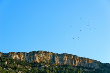 Flock of birds (vultures) circling high under a sunset clear blue sky in the mountains of Matarranya, Teruel, Aragon, Spain