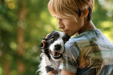 border collie dog wonderful cute portrait loves owner