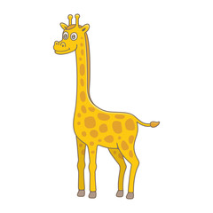 Fototapeta premium Baby Giraffe. isolated on white background