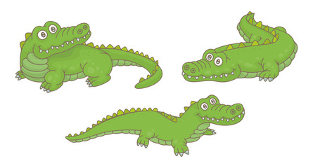 Set of Crocodiles. isolated on white background