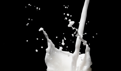 white milk splash on black background