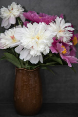 A bouquet of white and pink, crimson peonies in a brown vase on a gray background. Flowers on dark background.
