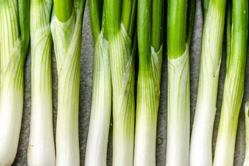 Green onion. Fresh organic vegetables freshly harvested from the garden.