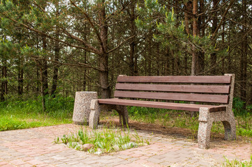 Wooden park bench at a park. A place to rest.