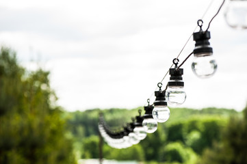 Decorative light bulbs hang on a tree in the garden during the daytime. The concept of pleasant...
